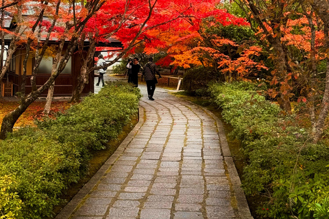 Kyoto: Fully customizable your own tour in the old capital