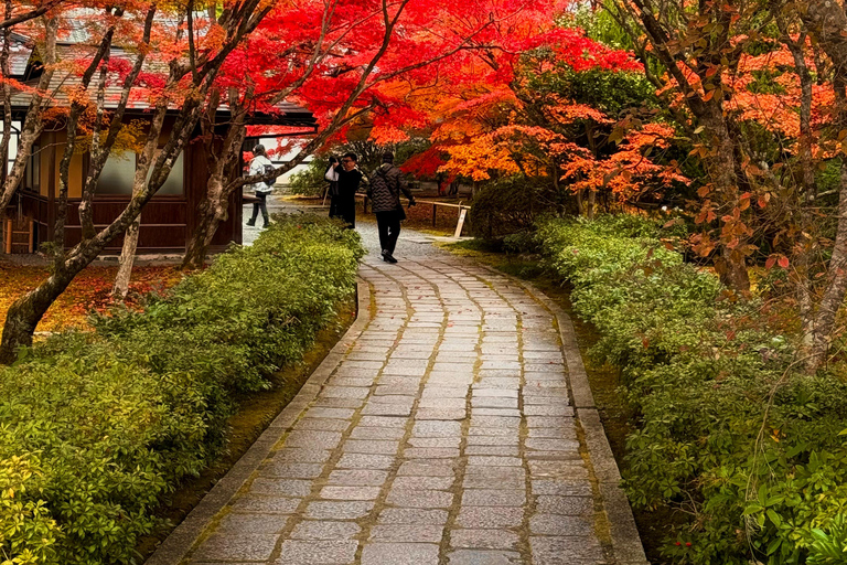 Kyoto: Fully customizable your own tour in the old capital