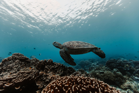 Gili Islands: Discover Scuba Diving Experience