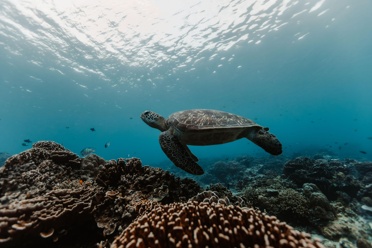 Gili Islands: Discover Scuba Diving Experience