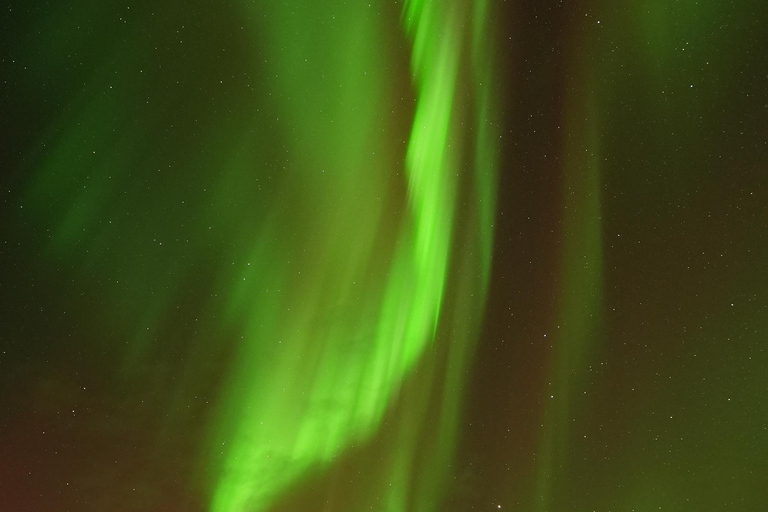 Tromsø: English/Spanish Aurora Pathfinder Tour with Photos Tromsø: English/Spanish Aurora Hunting Private Minibus Tour
