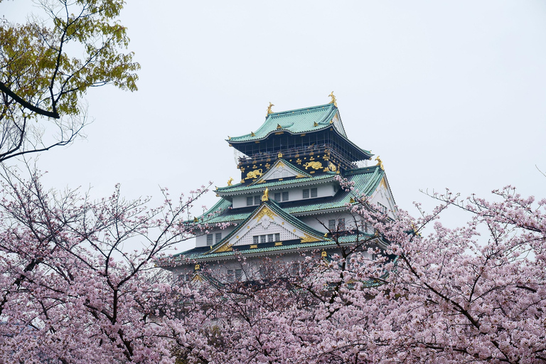 Osaka: Osaka Castle & Samurai History Walking Tour Small Group Tour with Entrance fee