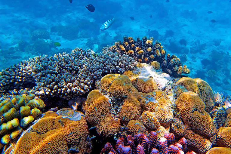 Kendwa beach; jet ski safari