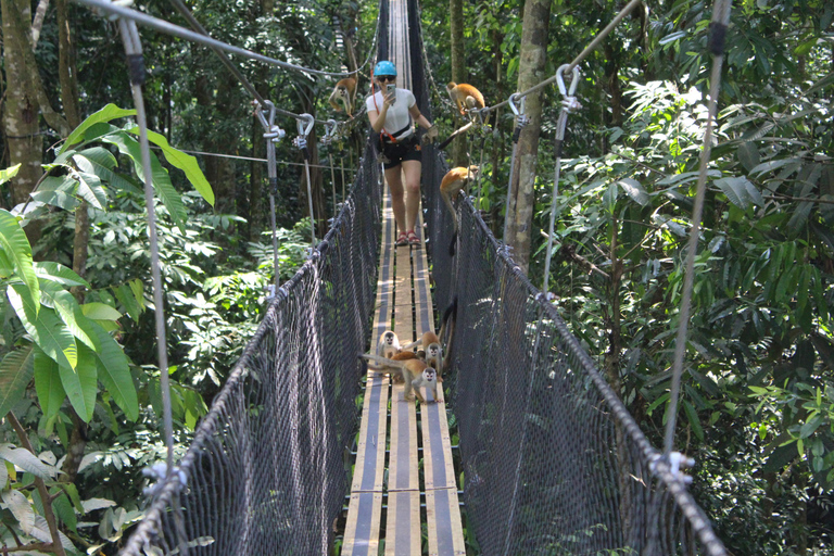 Manuel Antonio: Canopy Tour met Zip-lines &amp; hangbruggen