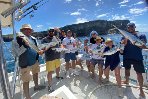 Sydney: 4 Hour Offshore Deep Sea Fishing Charter From Manly