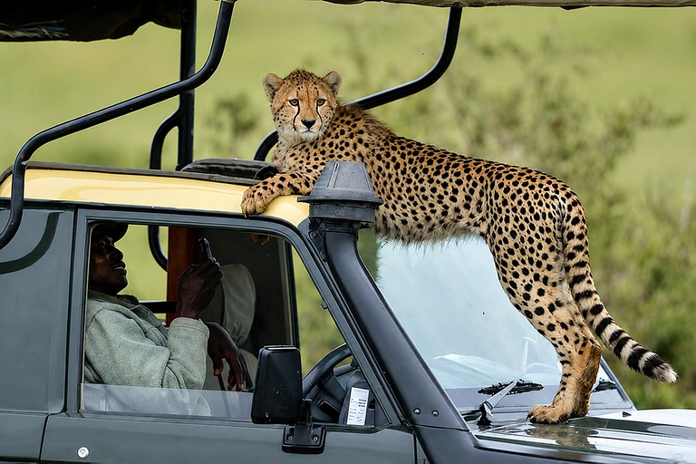 From Arusha: 2-Day Arusha National Park & Ngorongoro Crater