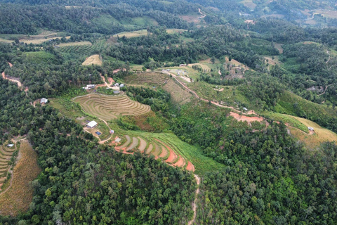 Chiang Mai: 2-dagars djungelvandring med elefantfarm och forsränning