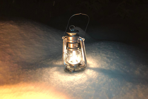 Abisko: Aurora Night & Swedish Glögg - Snowshoe Experience