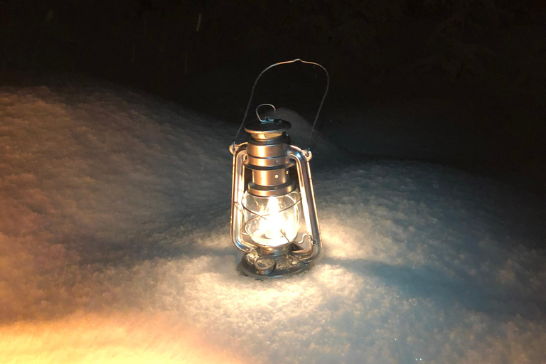 Abisko: Aurora Night & Swedish Glögg - Snowshoe Experience