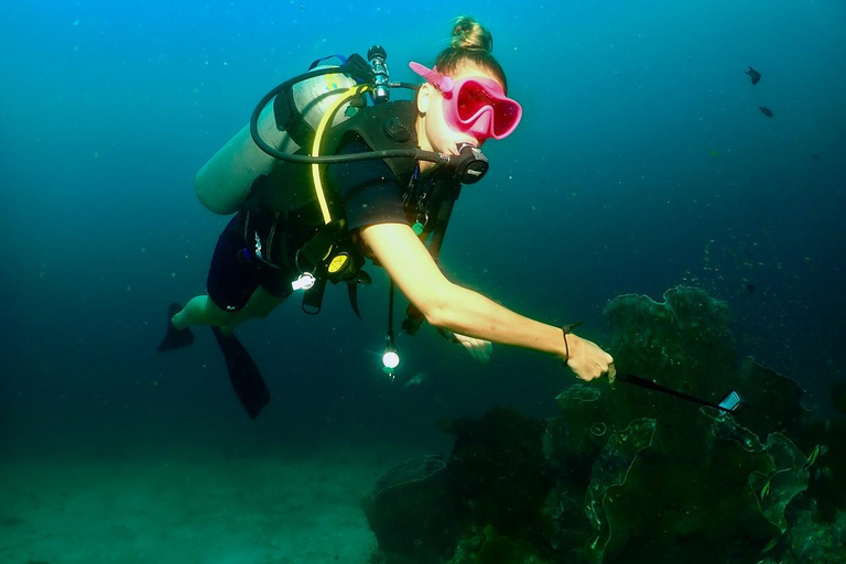 Phuket: SCUBA Tauchtagestour King Cruiser, Shark Point, KDM