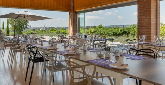 Tour im Valpolicella: Verkostung von Wein, Öl und Pfirsichen