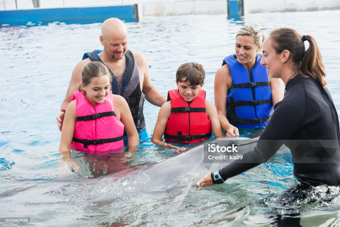 Punta Cana: Punta Cana Dolphin Encounter + Sea Lion Kiss Punta Cana: Dolphin Explore Swims and Encounters
