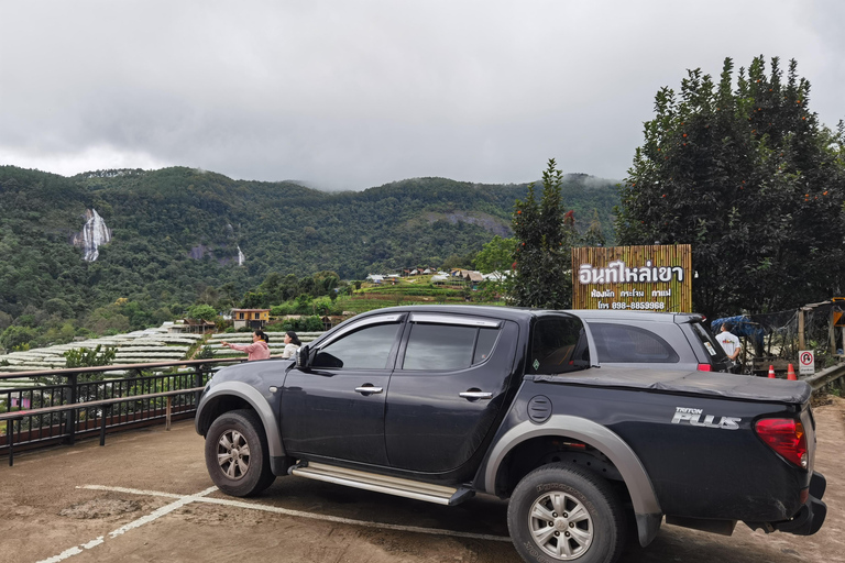 Chiang Mai Tour: Bua Tong Sticky Waterfall & Elephant Care Private tour : Sticky Waterfalls & Elephant Care in English