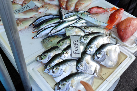 Wycieczka z przewodnikiem po Tokio.