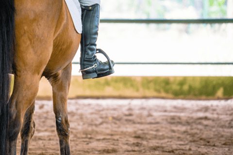 Reite durch die Dünen: Wüstenabenteuer zu Pferd in Doha