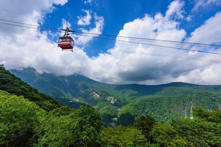 From Tokyo: Nikko Day Trip with Toshogu Shrine and Waterfall