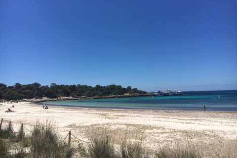 Menorca: South Coast Quad Tour with Swim Stops