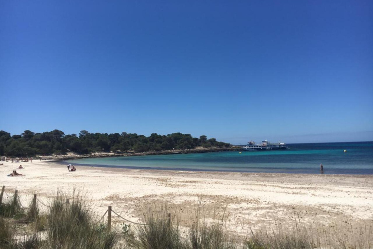 Menorca: South Coast Quad Tour with Swim Stops