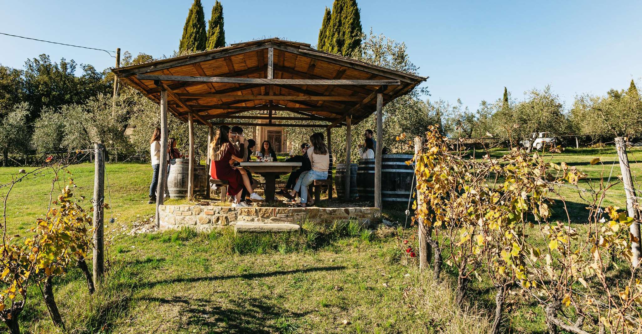 SMALL GROUP Tuscany Wine Tasting Safaris with Lunch / Dinner photo 13
