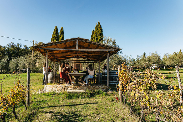 Da Firenze: Safari con degustazione di vini e cibi del Chianti