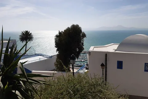 Médina de Tunis, Carthage et Sidi Bousaid : visite touristique