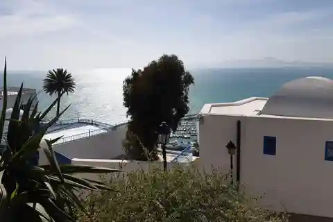Médina de Tunis, Carthage et Sidi Bousaid : visite touristique