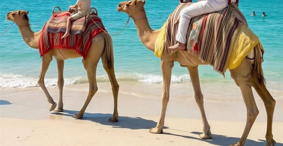 Dubai: Guided Camel Ride on JBR Beach with Skyline Views