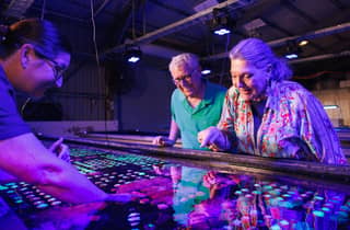 Bundaberg: Führung durch die Monsoon Aquatics Coral Farm