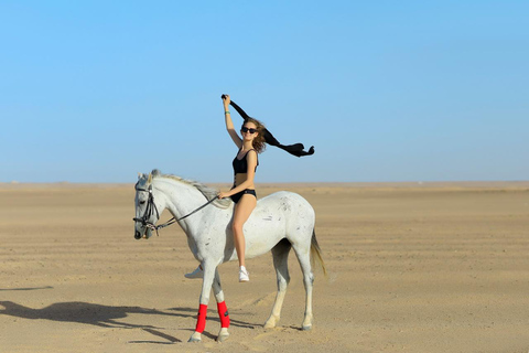 Hurghada: Horse Riding in the Desert & Beach Experience 1 HR Desert Horse Riding Experience without transfer