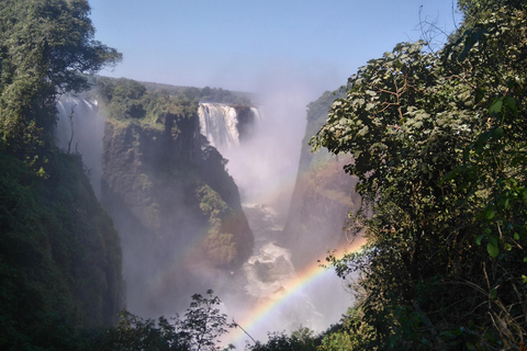 Guided Tour of the Victoria Falls