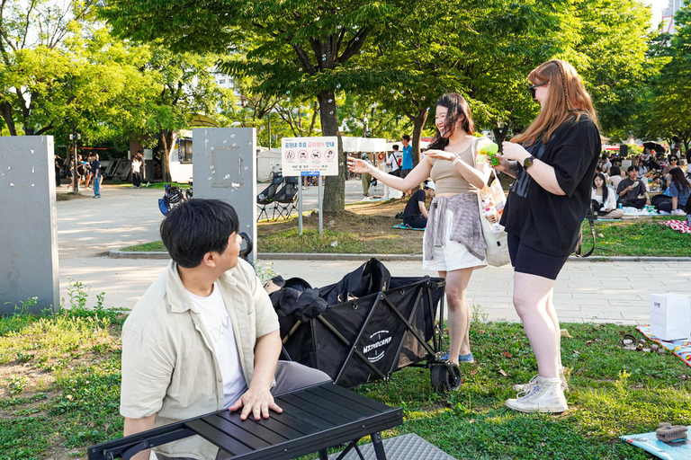 Han's River Picnic in Center of Seoul