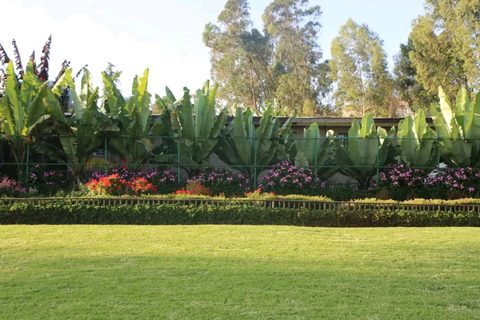 Addis Ababa: Layover Tour with Zoma Museum & Arara park