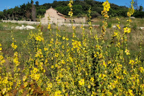 Capo di Rodon, castello, tour di un giorno di snorkeling/spiaggia!