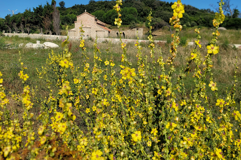 Capo di Rodon, castello, tour di un giorno di snorkeling/spiaggia!