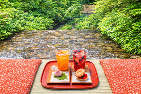 Kyoto: Private City Highlights Tour (Local Guide 6-Hour)