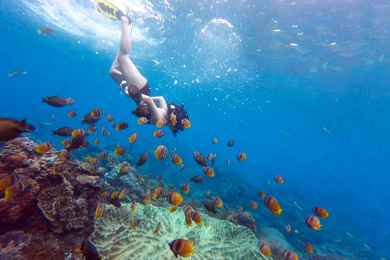 Combinatie van snorkelen en eilandtour op Nusa Penida