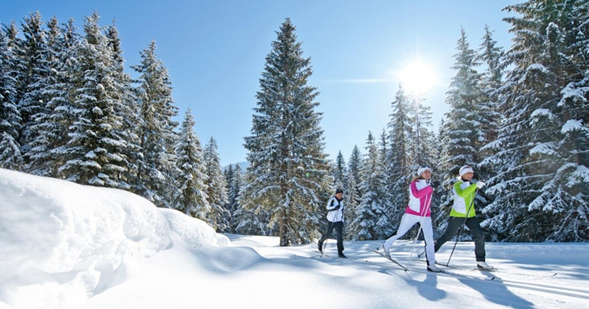 Cross Country Skiing Lessons for Beginners (Feldberg) GetYourGuide