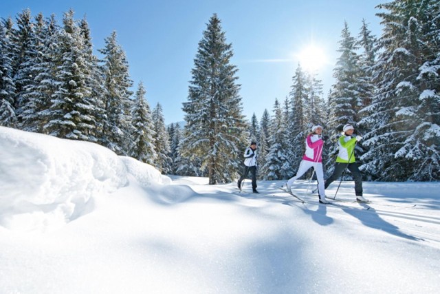 Visit Cross Country Skiing Lessons for Beginners (Feldberg) in Staufen im Breisgau