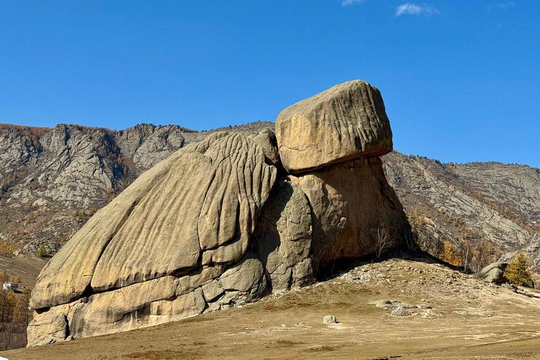 Genghis Khan Statue and Terelj National Park day trip