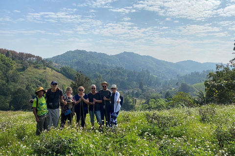 1 Day trekking : Chiang Rai popular activity,Fun in Nature.