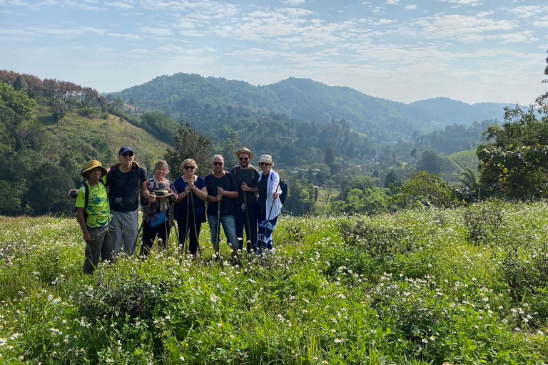 1 Day trekking : Chiang Rai popular activity,Fun in Nature.