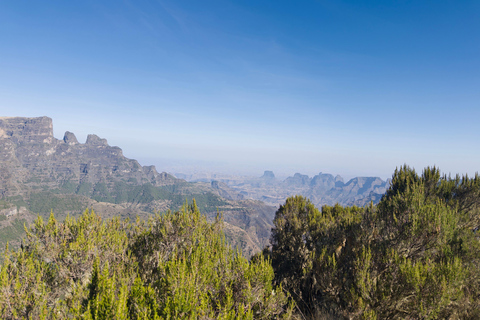 Gondar: Simien Mountains Trek with Gelada Monkeys
