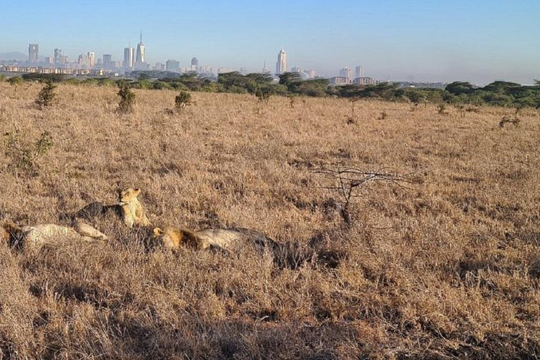 Nairobi national park ,Elephants orphanage, Giraffe Center.Nairobi park Elephants, Giraffe Center, Blixen Museum Tour