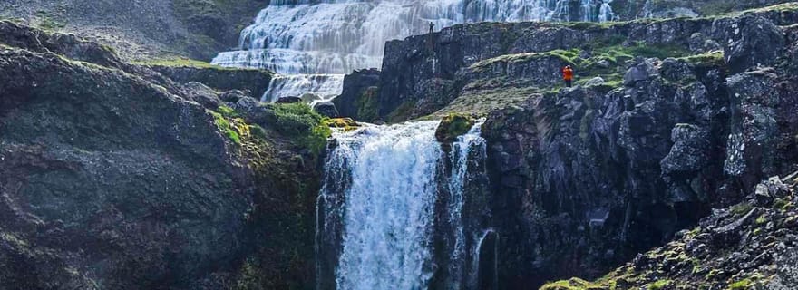 Isafjordur : Visite de la cascade de Dynjandi et visite d'une ferme islandaise