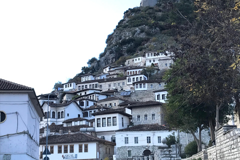 Vlorë: Apollonia & Berat Tour with Airport Transfer
