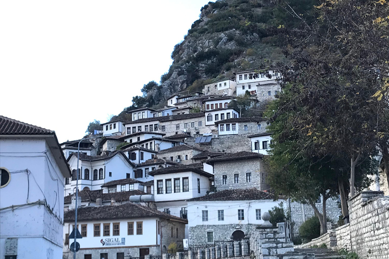 Vlorë: Apollonia & Berat Tour with Airport Transfer
