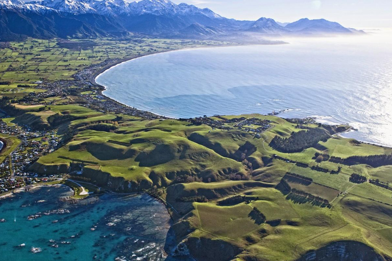 Christchurch: Kaikoura Whale Watching Day Tour Christchurch: Kaikoura Private Day Tour