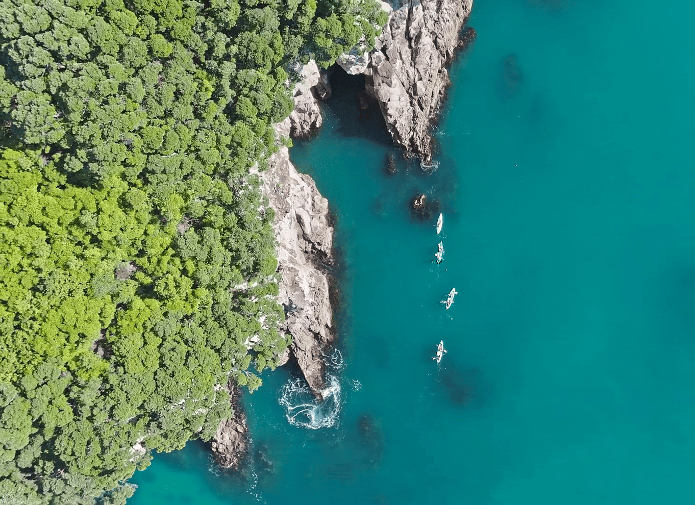 Whangamata: Guidet kajakoplevelse på Donut Island