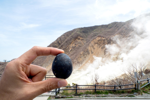 Tokyo: Mt. Fuji, Owakudani, Hakone Shrine, & Open-Air Museum Tokyo Station Meeting Point