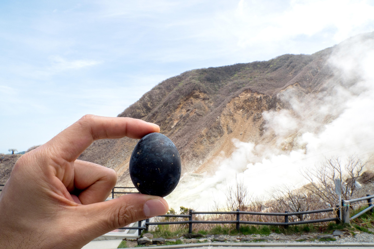 Tokyo: Mt. Fuji, Owakudani, Hakone Shrine, & Open-Air Museum Tokyo Station Meeting Point